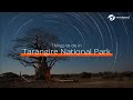 Things to do in Tarangire National Park. #unforgettable #tanzania #safari #wildlife #africa