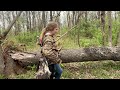 kentucky tradfest 2024 kentucky traditional bowhunters association 4k