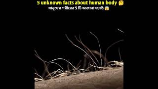 মানুষের শরীর সম্পর্কে 5 টি অজানা ফ্যাক্ট ।5 unknown facts about human body #shorts #Humanbody