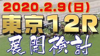 2020/2/9（日）東京12レース（どのように予想したらいいか、展開の考え方、予想方法、軸馬選び、 サンプルとしてこのレースをじっくり解説してみました）