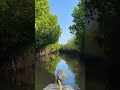 Pichavaram Mangrove Forest - Timelapse