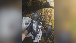 Texas women arrested for allegedly smuggling drugs into prison using a drone and plastic crow decoy