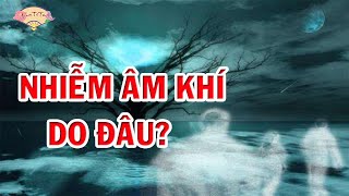 Nhiễm Âm Khí Là Gì? Dấu Hiệu Nhận Biết Cơ Thể Bị Nhiễm Âm Và Cách Hoá Giải #tamlinh #anlactutam