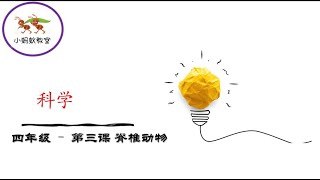 科学 – 四年级 第三课   脊椎动物