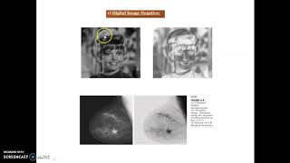 Image Negatives from Image Enhancement in Spatial Domain ,Digital Image Processing