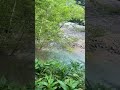 too beautiful japanese river 🇯🇵 kamikochi nagano japan