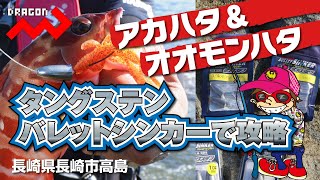 【マルシン漁具】人気沸騰中のロックフィッシュゲームに挑戦！