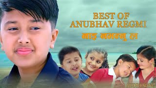 BEST OF ANUBHAV REGMI - NAI NABHANNU LA SERIES - AUDIO SONG