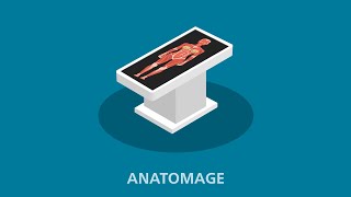 Anatomage Table - the BibMED virtual tour