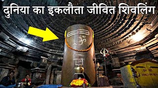 Matangeshvara Temple - दुनिया का इकलौता जीवित शिवलिंग जिसके आगे सभी वैज्ञानिक भी हैरान हैं