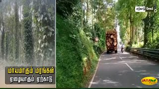 மாயமாகும் மரங்கள் - ஏழையாகும் ஏற்காடு | Yercaud | Jaya Plus