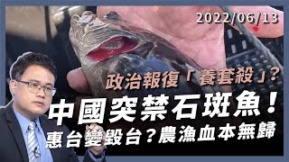 中國禁台灣石斑魚！政治報復養套殺？惠台變毀台！農漁血本無歸！過度依賴代價慘重！（公共電視 - 有話好說）