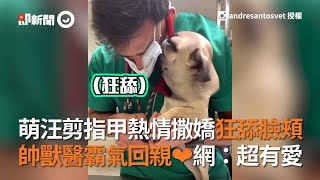 獸醫師太帥！萌哈巴狗剪指甲撒嬌狂舔臉頰 葡萄牙獸醫霸氣回親｜巴哥犬｜寵物｜André Santos