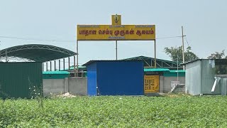 🙏பாதாளசெம்பு முருகன் கோயில்🙏   🎱கருங்காலி மாலை pathala sembu murugan temple | Dindigul