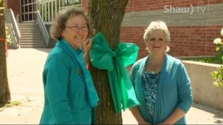 Zonta Club of SSM - Ovarian Cancer Awareness Month