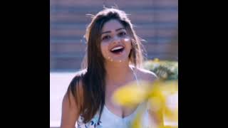 Garucha Aga Wp Pl