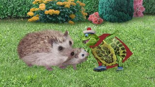 Wonder Pets - Save the Hedgehog! / Save the Crocodile!