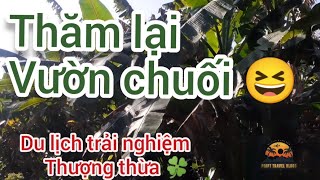 Thăm lại mô hình trồng chuối siêu độc lạ - 🔴 Rất nhàn thu nhập cao 🌿🌿🌿 | PMPT Travel vlogs