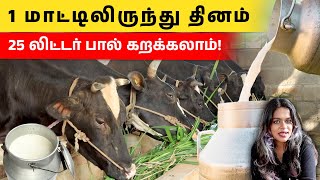 மாட்டு பண்ணையில் லட்சம் ரூபாய் சம்பாதிக்கும் இளைஞர் | Profitable Cow Farming in Tami