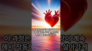 과학적 발견! 놀라운 사실들을 만나다  #1 (챗GPT로 만든 숏츠)