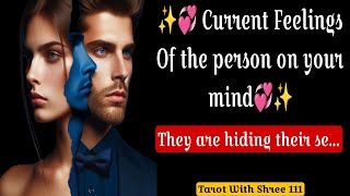 CURRENT FEELINGS OF THE PERSON ON YOUR MIND |THEIR HIDDEN FEELINGS Timeless Hindi Tarot|LOVE READING