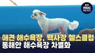 [강원영동] 애견 해수욕장, 백사장 헬스클럽... 동해안 해수욕장 차별화 (뉴스투데이 2024.8.7 광주MBC)