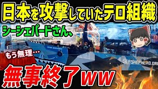 【海外の反応】日本を責め続けた反捕鯨団体シーシェパードが妨害活動を中止！ 日本に負けて今更慌てだして自業自得な結果にww