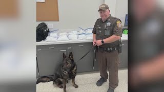 Guadalupe County deputies say staggering amount of drugs being seized is only going up