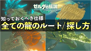 龍の移動ルートと龍の素材入手方法！龍がいないときの対処法について【ゼルダの伝説ティアーズオブザキングダム】