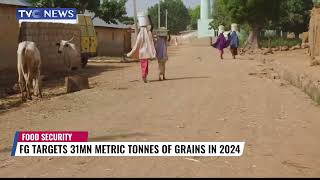 FG Targets 31MN Metric Tonnes Of Grains In 2024