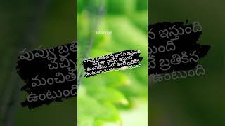 నువ్వు పుష్పం