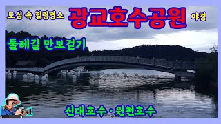 도심 속 힐링명소 광교호수공원(야경) 둘레길 만보걷기