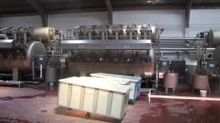 METSA 01 DYEING MACHINE RUNING VIDEO