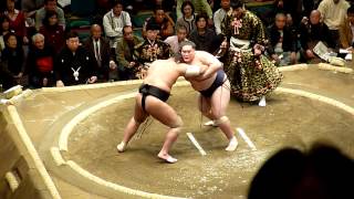 Osunaarashi (1-1) - Terunofuji (2-0) , Sumo: Hatsubasho '14