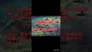 【黒い砂漠モバイル】ドリガン地域以外では被せ狩りで減るのは経験値＆知識効率のみ！→聖水キツイ方は仲間と被せ狩りで乗り切るのも〇♪