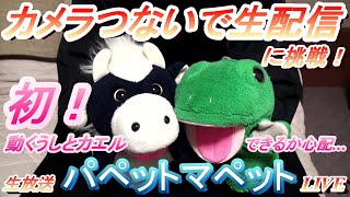 【生放送】うしとカエルのコンビ、パペットマペットが自宅から生配信（猫も来るかも）【LIVE】