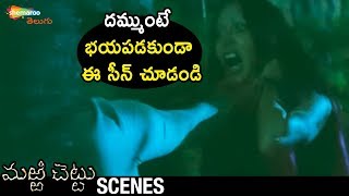 Best Horror Scene | Marri Chettu Telugu Horror Movie | RGV | JD Chakravarthy | Sushmita Sen