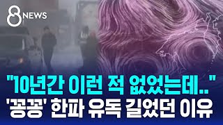 이웃나라까지 덮친 '한파·폭설'…유독 길어진 이유는 / SBS 8뉴스