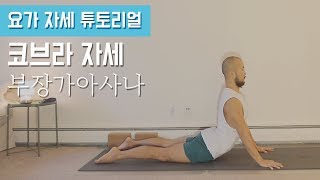 허리 통증을 완화하며 소화 기능을 향상시키는 코브라 자세 살펴보기 (살람바 부장가아사나 + 부장가아사나 + 우르드바 무카 스바나아사나) | 요가 자세 튜토리얼 | 요가소년 145