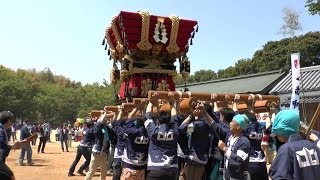 平成25年 淡路市志筑八幡神社春祭り 宮入 志筑北