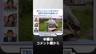 「“かかし”に感謝！」高齢化が深刻な地域が元気に　世界が注目する“かかし”だらけの秘境とは【久保田編集長の深掘り】｜TBS NEWS DIG #shorts