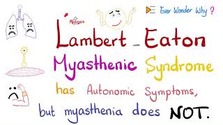 Myasthenia Gravis vs. Lambert Eaton Myasthenic Syndrome (LEMS) - Muscle Weakness, Autonomic Symptoms