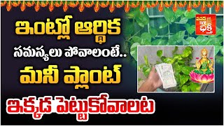 ఇంట్లో ఆర్థిక సమస్యలు పోవాలంటే| Where To Place Money Plant in House | Money Power | Pavan TV Bhakthi