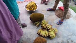 Fresh Fruits Market in Bangladesh Village। BD Fruits Market in Rural Village