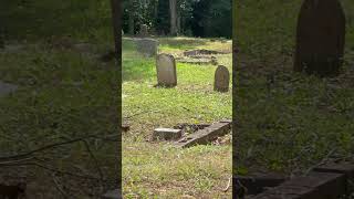 Cemetery in bad shape #cemetery #tennessee #peaceful #summer #likeandshare #subscribe