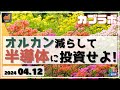 【カブラボ】4 12 オルカン減らして半導体に投資せよ！