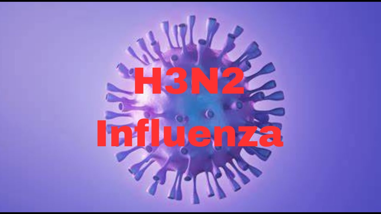 H3N2 Influenza: Current Global Spread And Prevention Strategies - YouTube