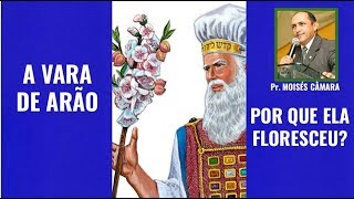 A VARA DE ARÃO (Por que ela floresceu?) - Pr. Moisés Câmara