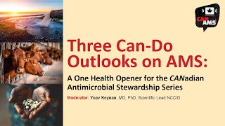 Three Can-Do Outlooks on AMS