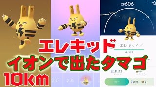 ポケモンGO イオンで拾った10kmタマゴからベビーポケモン エレキッド Elekid 誕生です